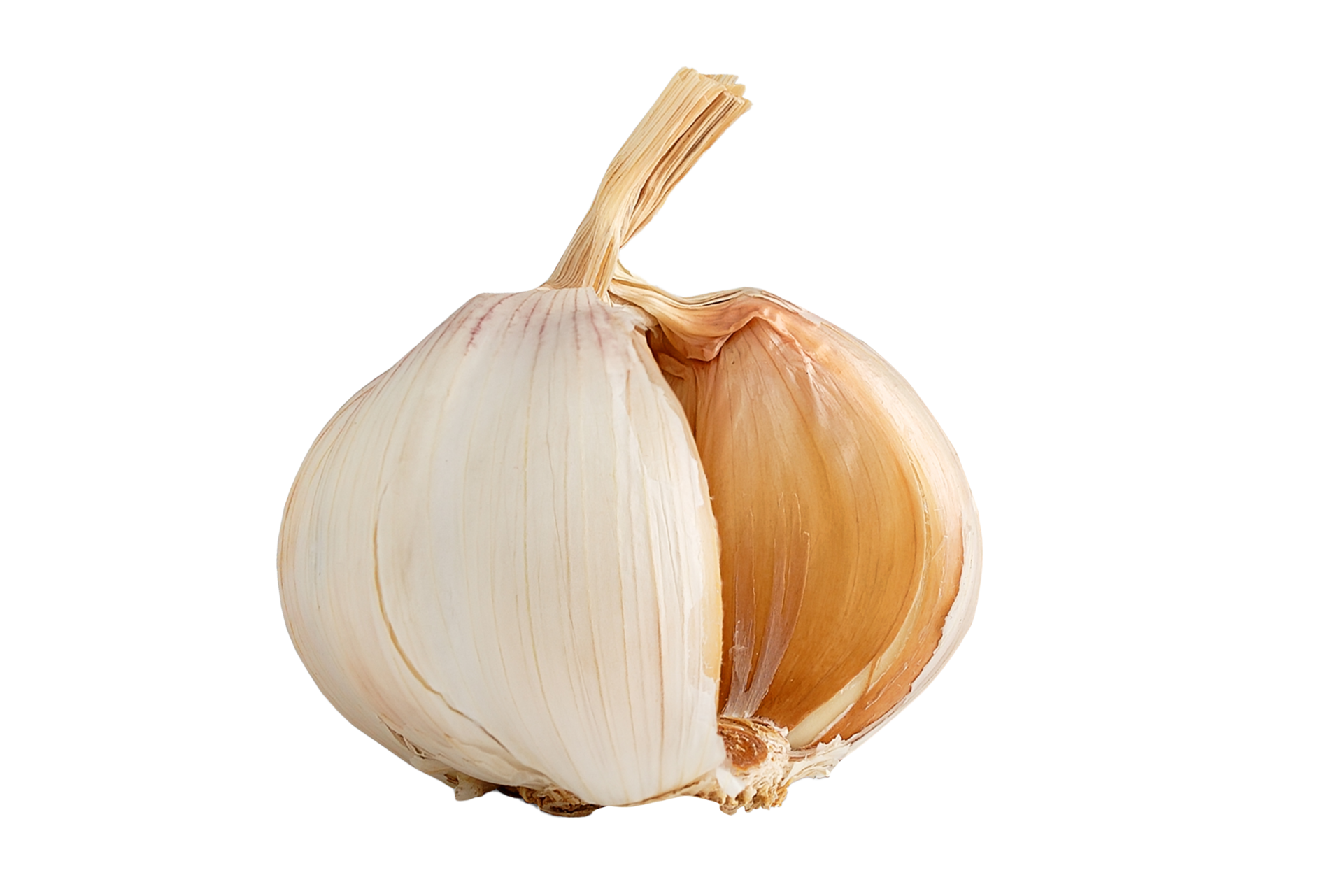 slice-garlic-isolated-11190596-png
