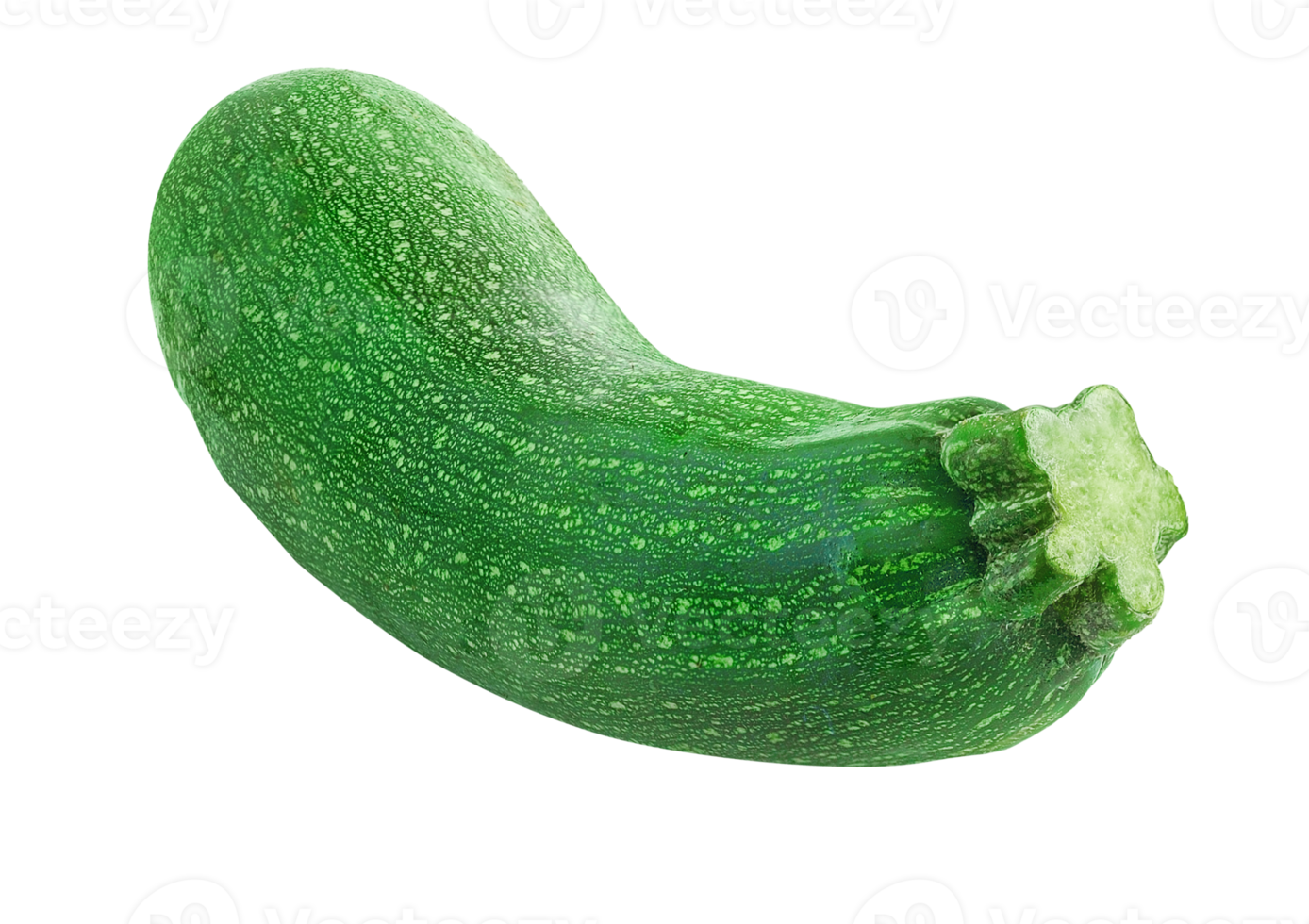 green zucchini isolated png