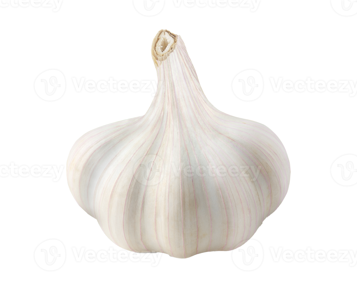 fresh garlic isolated png