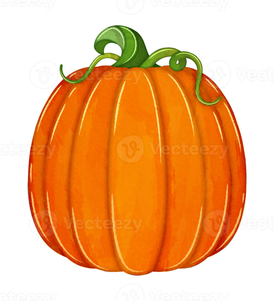 Watercolor Pumpkins with vines fall clipart png