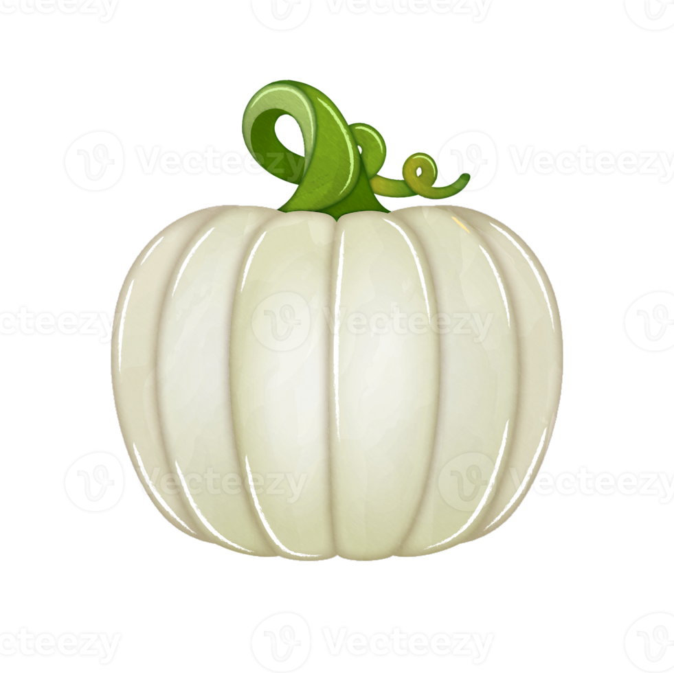 Watercolor white pumpkin clipart png