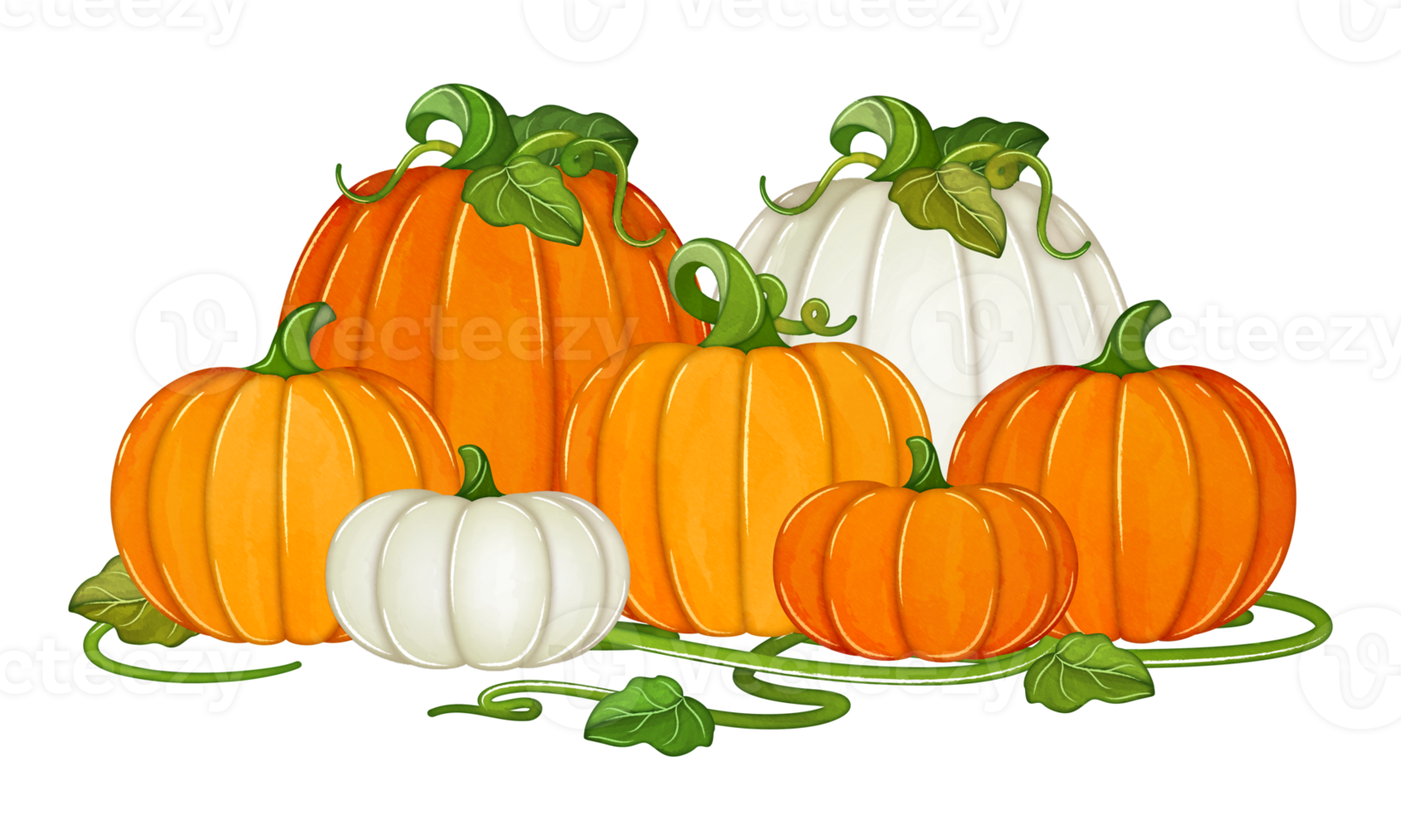 vattenfärg pumpor med vinstockar falla ClipArt png