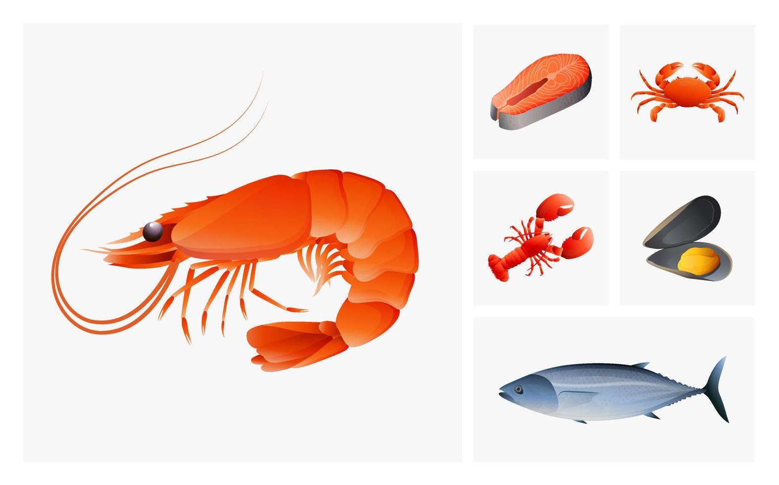 conjunto de mariscos. iconos vectoriales mejillones, salmón pescado, camarones, gambas, cangrejo y atún. vector