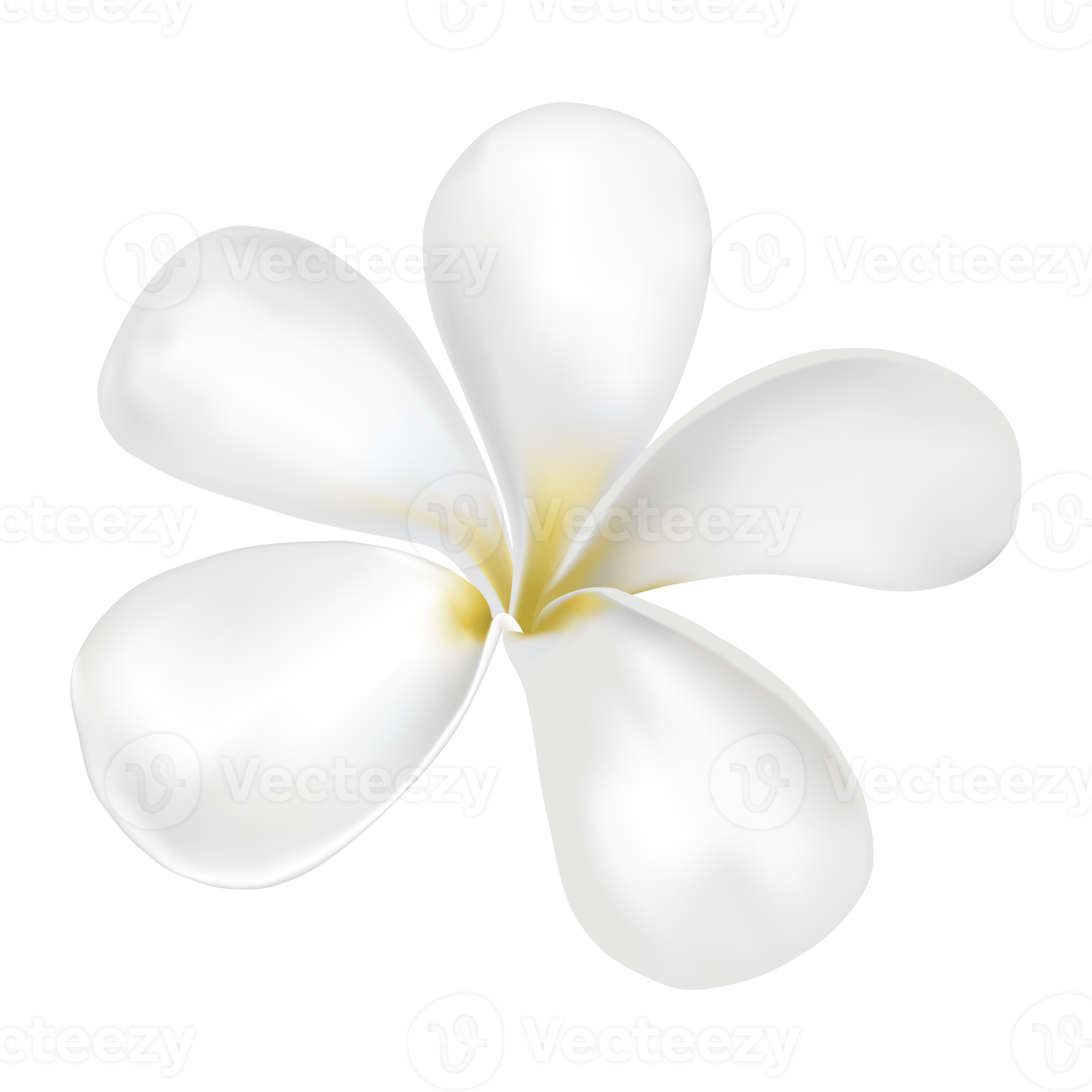 Unbelievable Latin Flower Spa Experience: Read This First! - szxwpjj