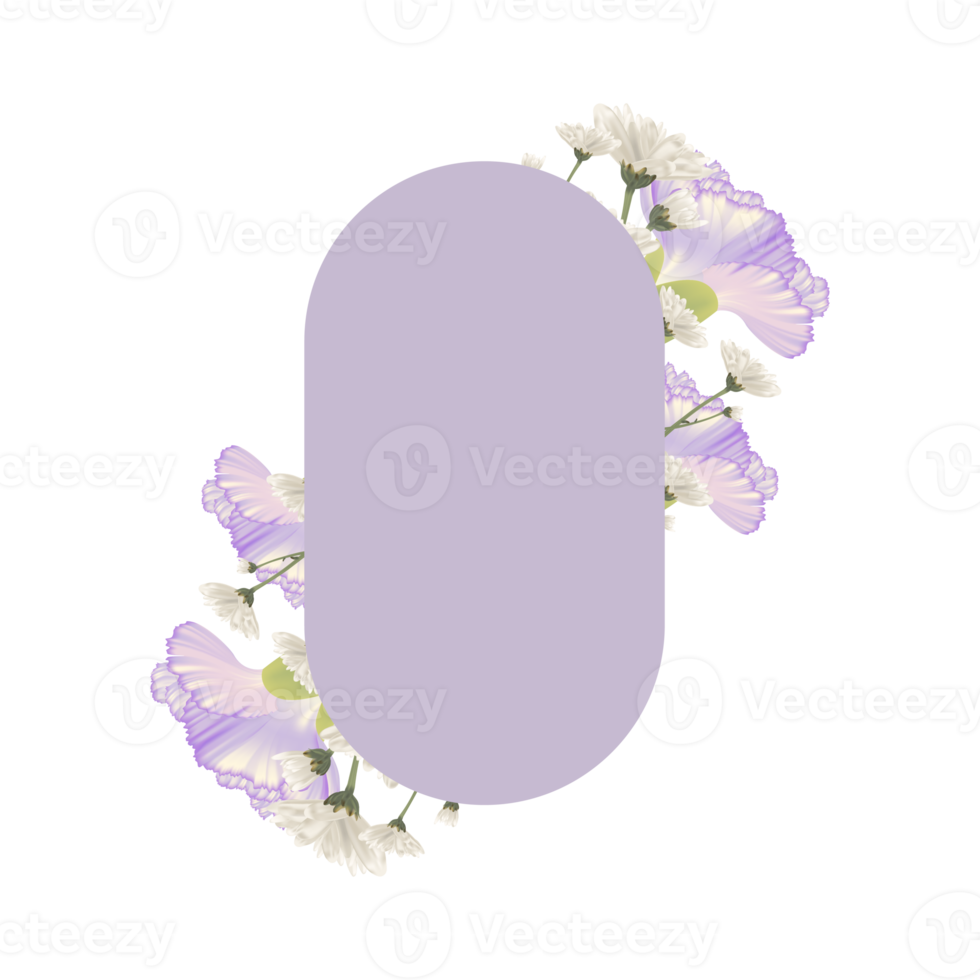 bouquet, œillet violet et fleur blanche avec un cadre violet. png