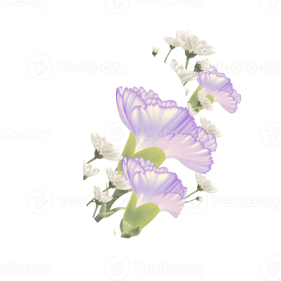 bouquet, œillet violet et fleur blanche dans un cadre blanc. png