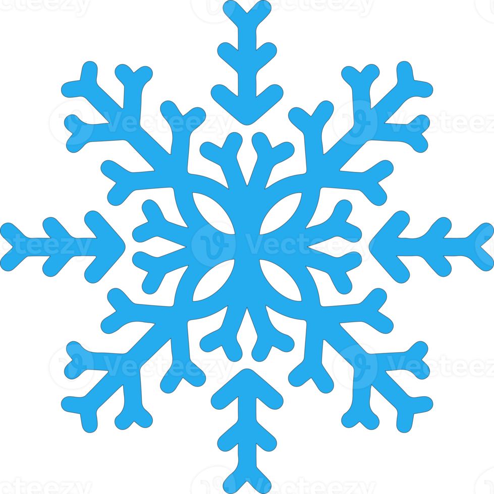 Icon Snowflake Illustration png