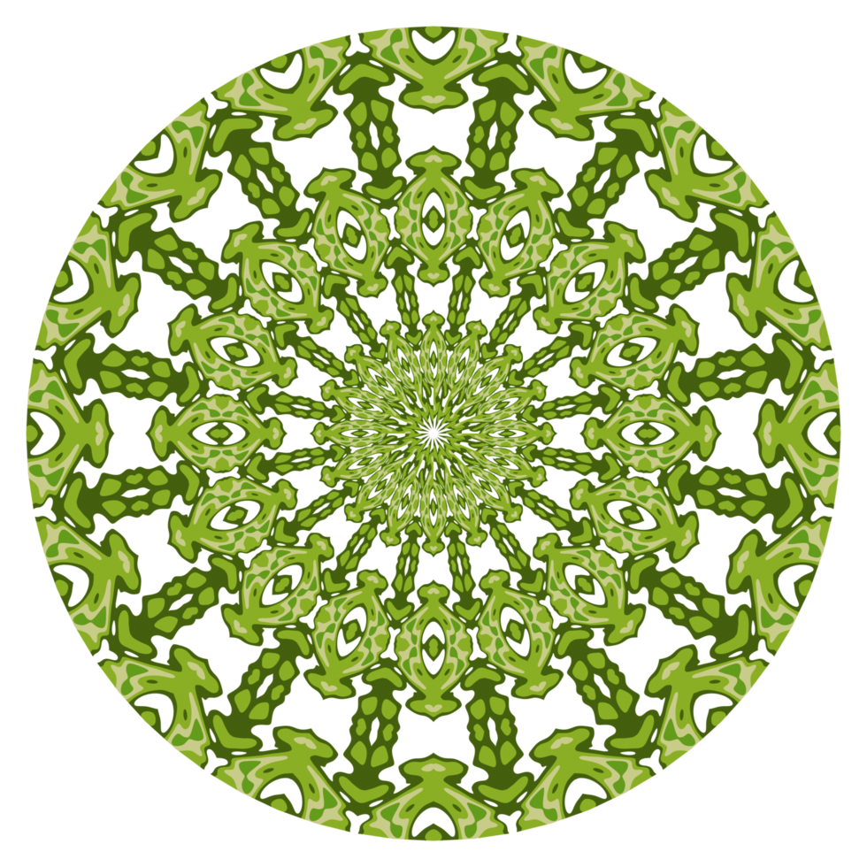 Mandala circle decoration png