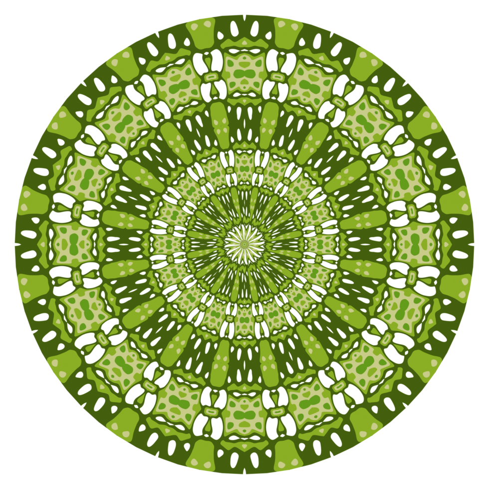 Mandala circle decoration png