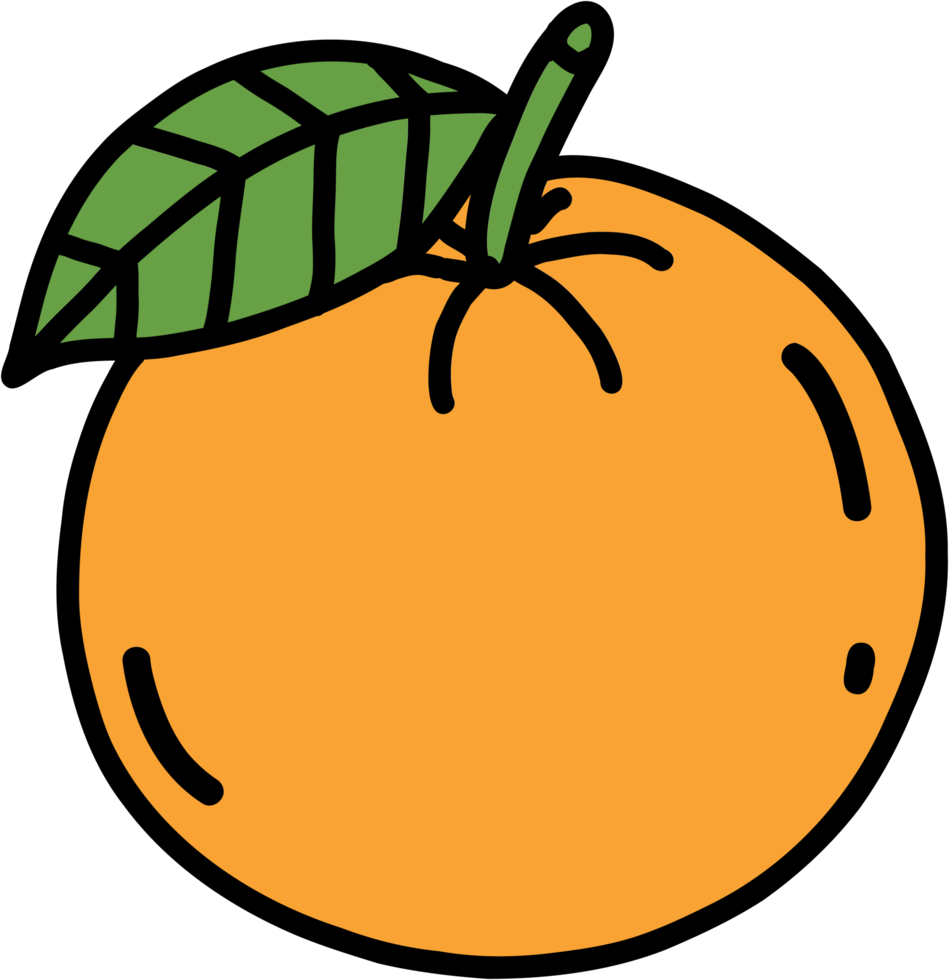Doodle dibujo a mano alzada de fruta naranja. png