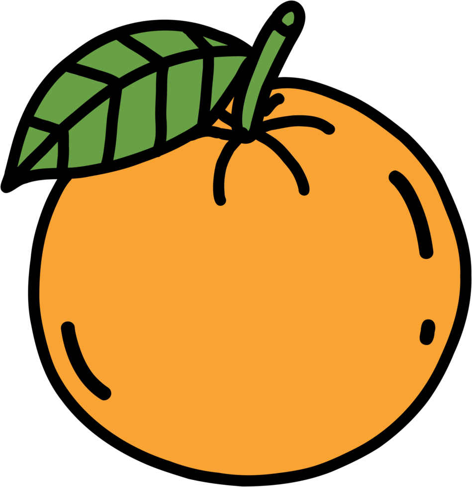 doodle freehand sketch drawing of orange fruit. png