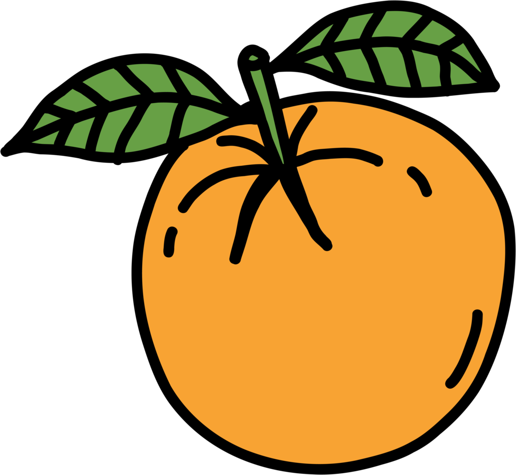 Doodle dibujo a mano alzada de fruta naranja. png