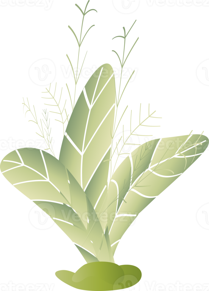 naturlig blomma lämna växt ört- dekoration bakgrund bakgrund hemsida omslag sida mönster grafisk design illustration png