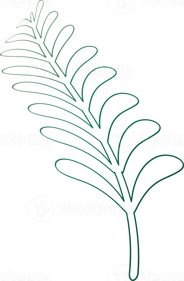 silhuett teckning översikt lämna växt grafisk design dekoration bakgrund bakgrund illustration png