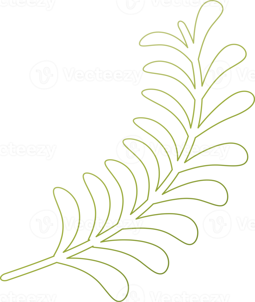 Silhouette drawing outline leave plant graphic design decoration background backdrop illustration png