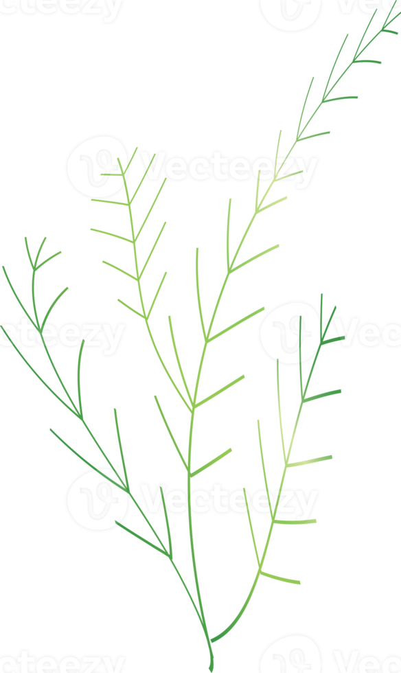 silueta dibujo esquema dejar planta gráfico diseño decoración fondo telón ilustración png