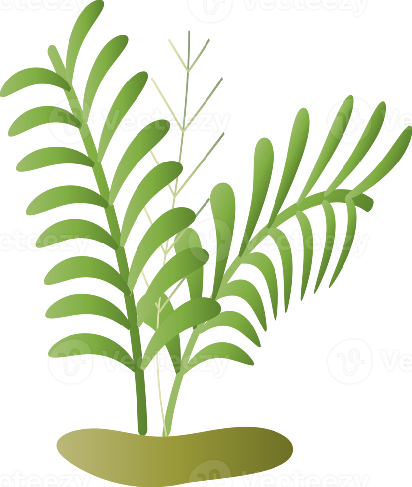 naturlig blomma lämna växt ört- dekoration bakgrund bakgrund hemsida omslag sida mönster grafisk design illustration png