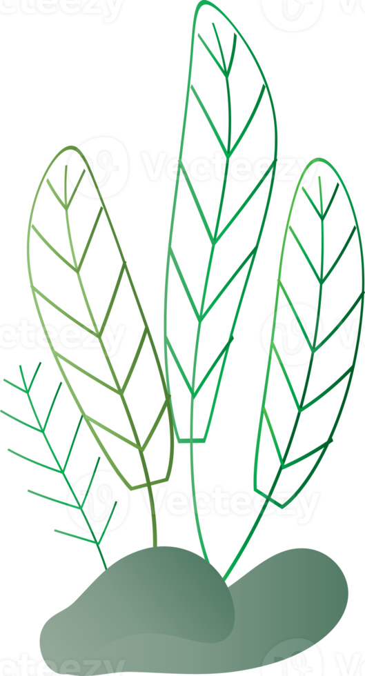 flor natural deixar planta decoração de ervas fundo pano de fundo padrão de página de capa do site ilustração de design gráfico png