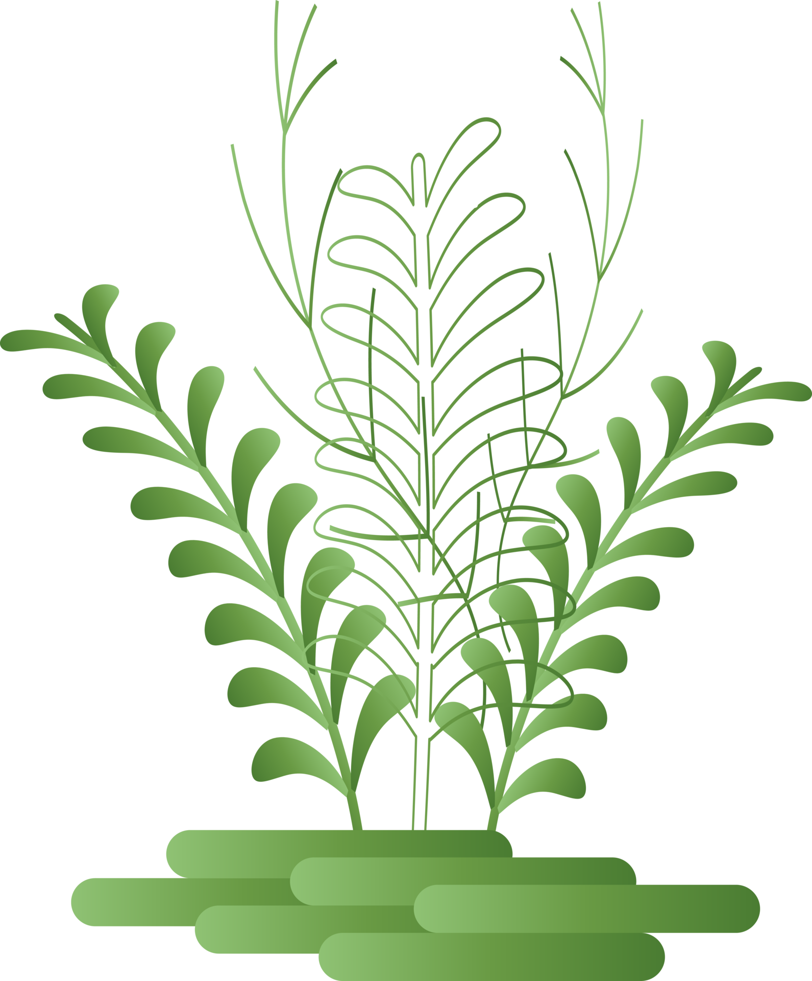 Natural flower leave plant herbal decoration background backdrop