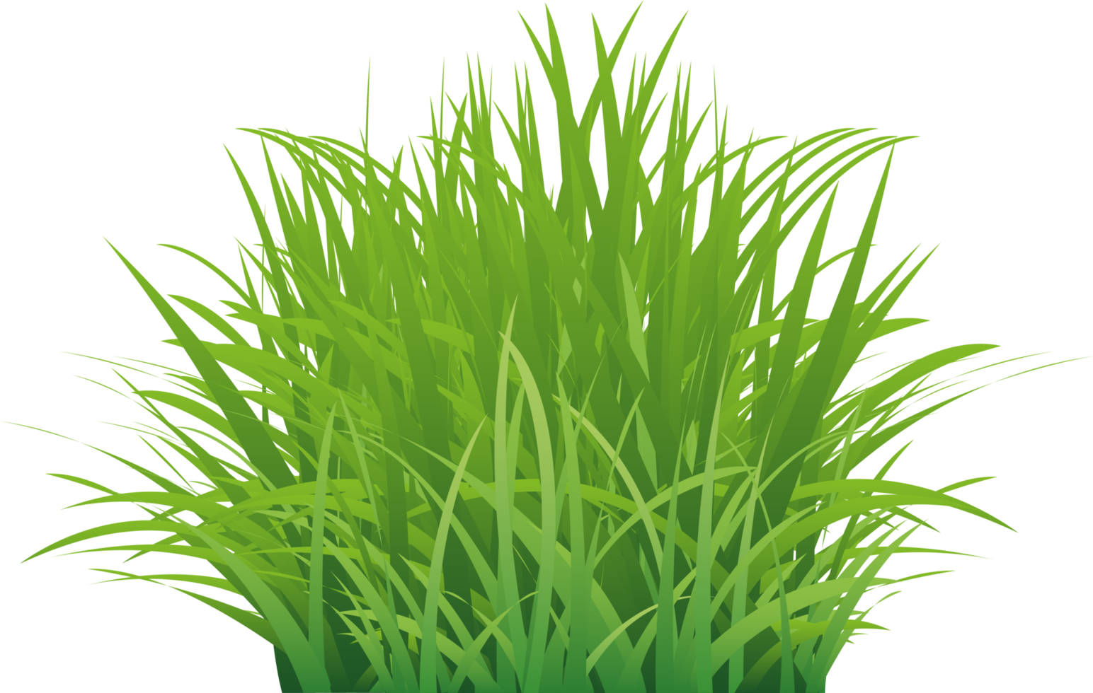 Free Realistic Green Grass 11192450 PNG with Transparent Background