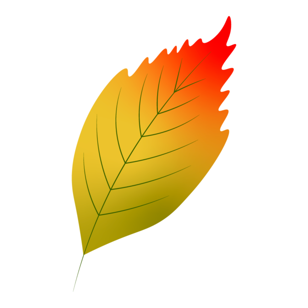 herfst blad element png