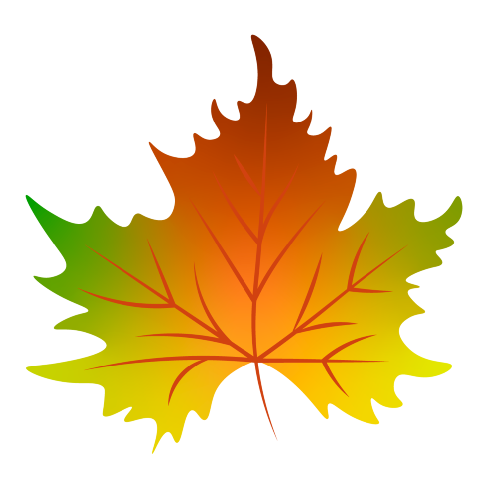 Autumn leaf element png