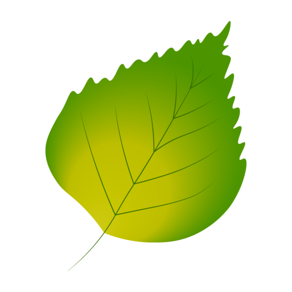 Autumn leaf element png