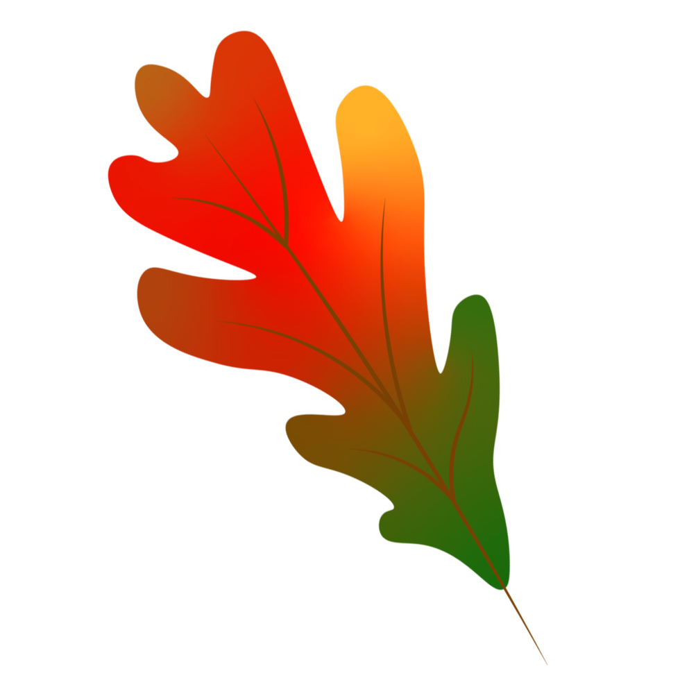 herfst blad element png