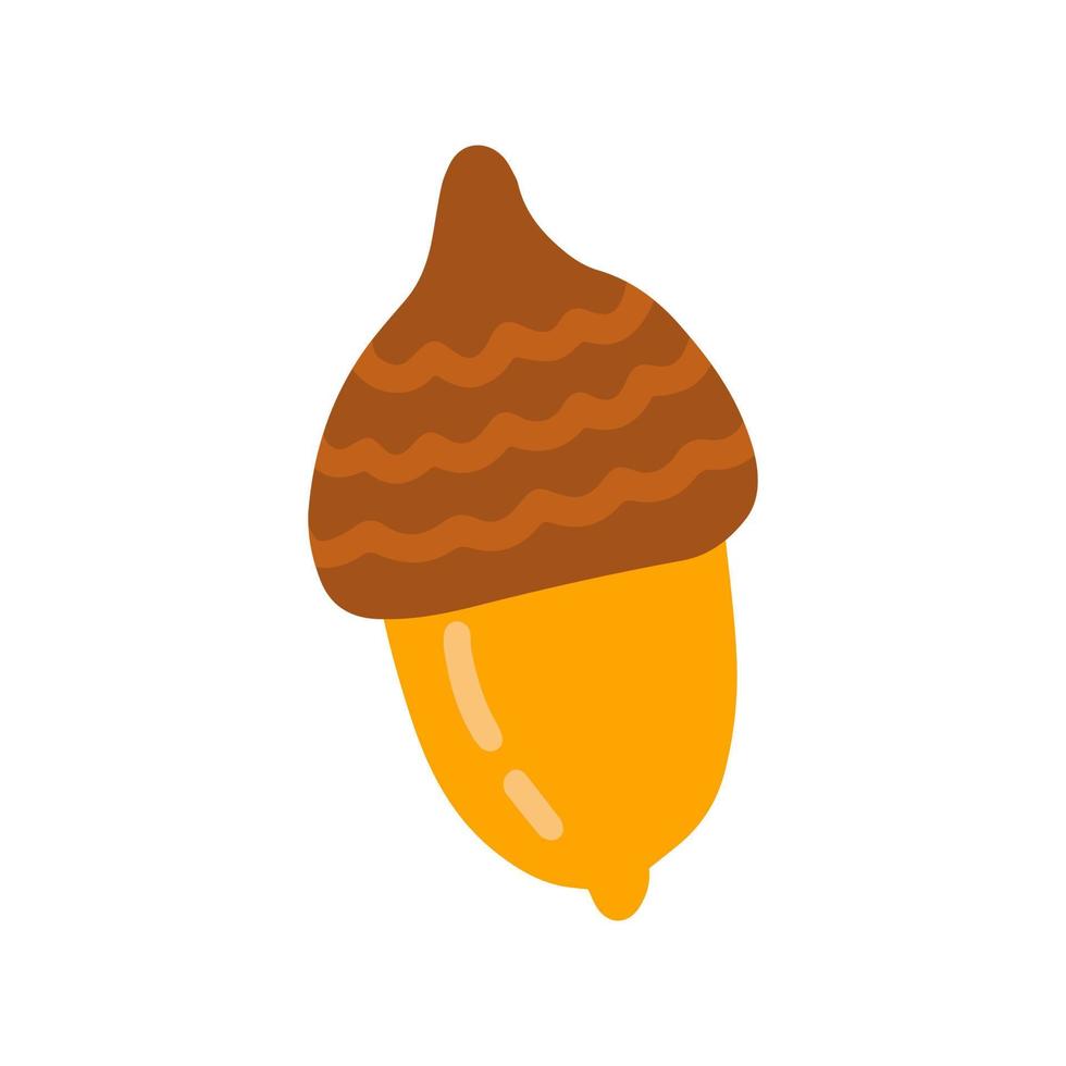 Acorn, vector flat illustration on white background