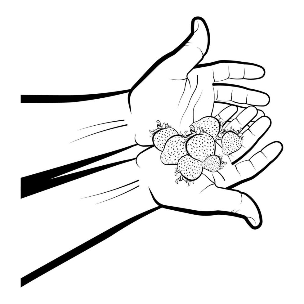 man holds ripe juicy strawberries in his palms. Summer fruits and vitamins. Sweet treat for children. Isolated vector on white background