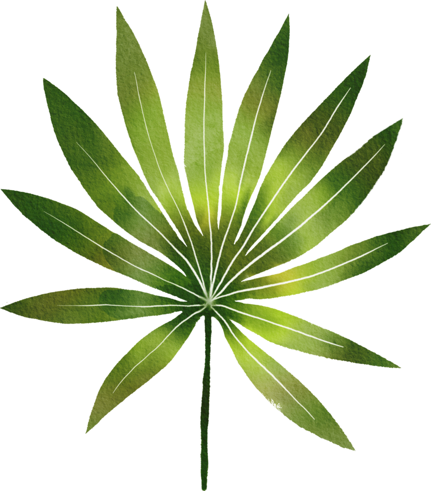 tropical leaves watercolor painted png