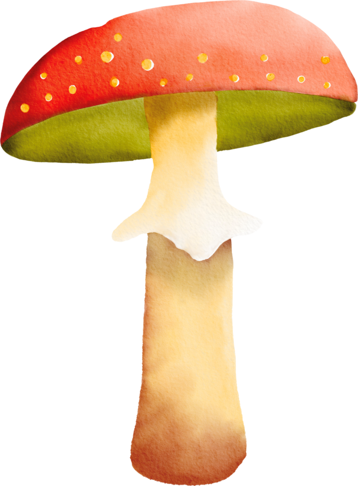 Watercolor colorful mushroom png