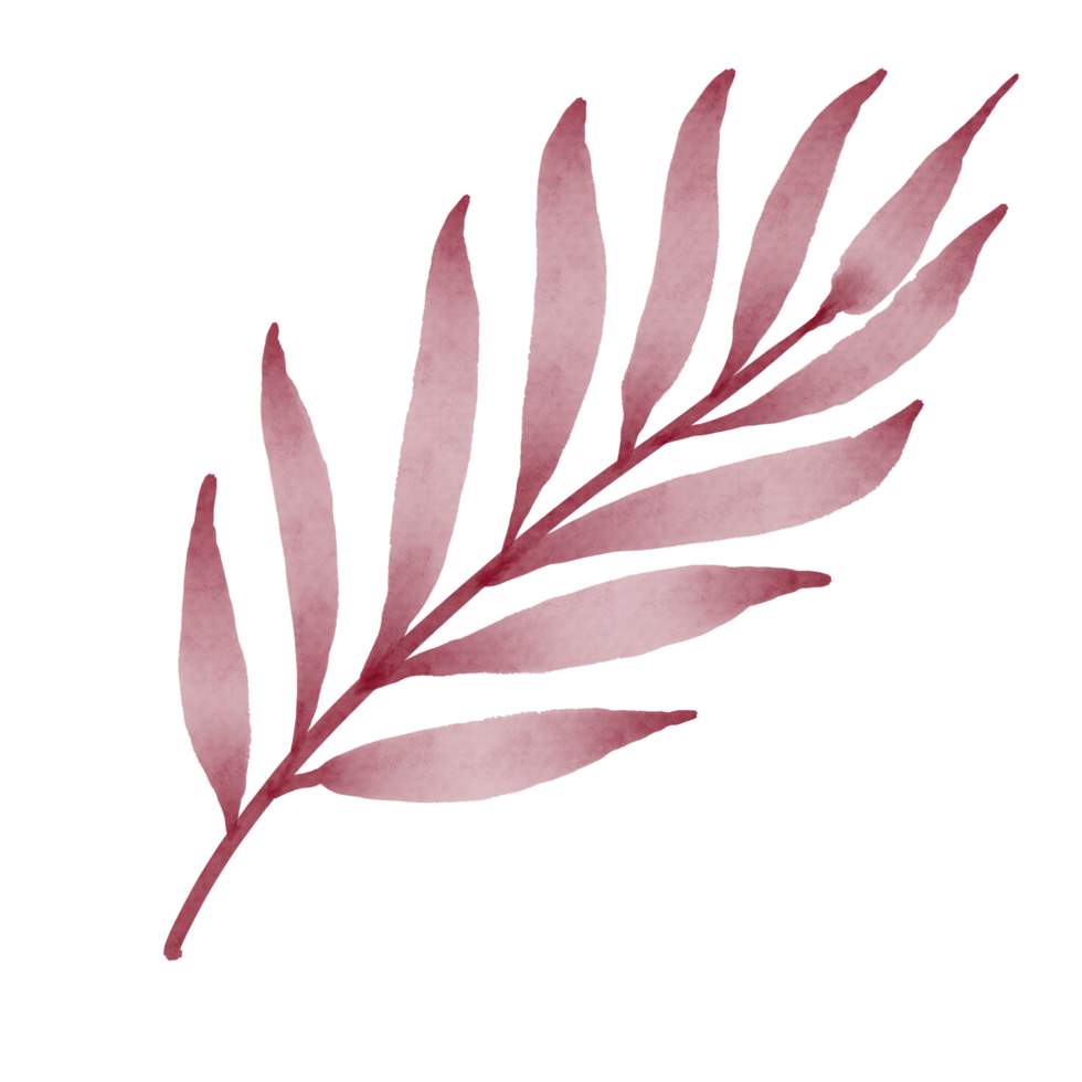 hoja acuarela pintada png