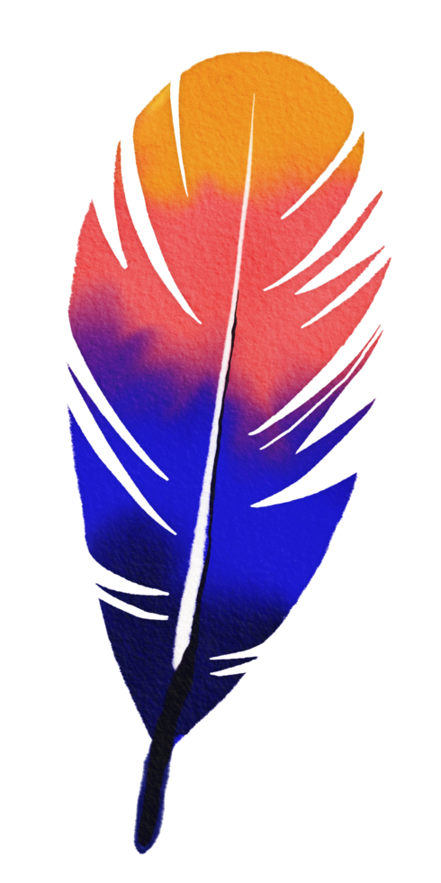 watercolor painted feather png