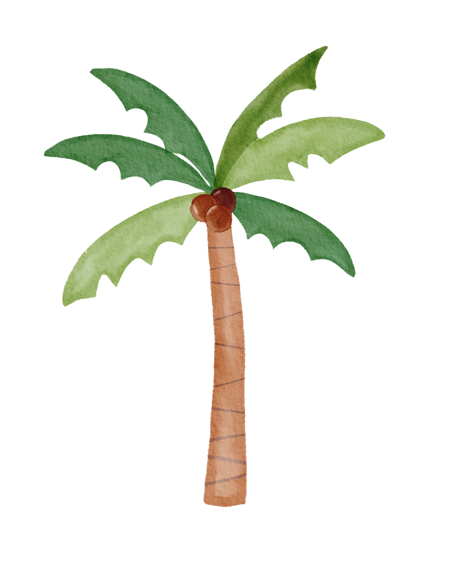 watercolor painted coconut tree 11194413 PNG