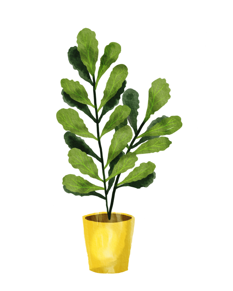 watercolor painted houseplant png