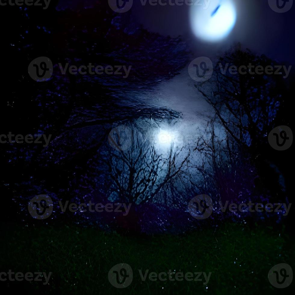 Night Coniferous Forest. Magic Woods. Moonlight and Fog. Nature, Mystery and Fairy Tale Space. photo