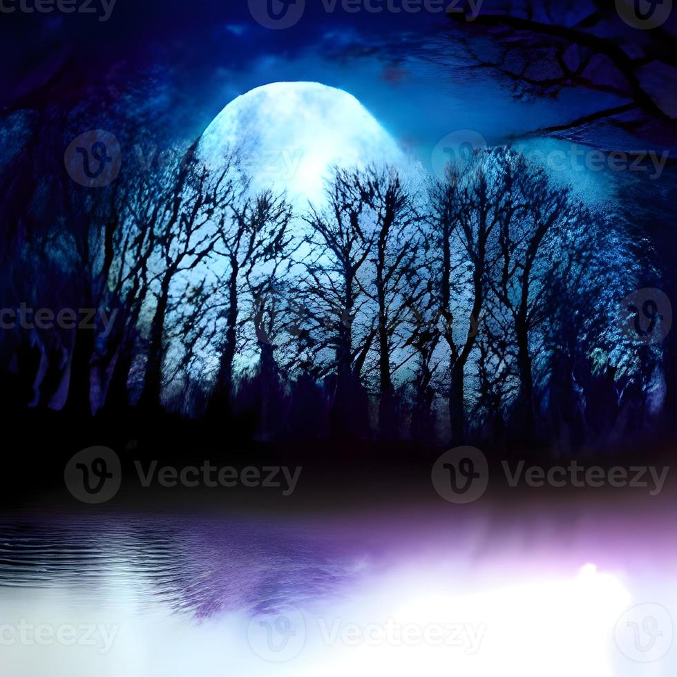 Mysterious Magical Fantasy Fairy Tale Forest at Night in the Full Moon light artwork photo