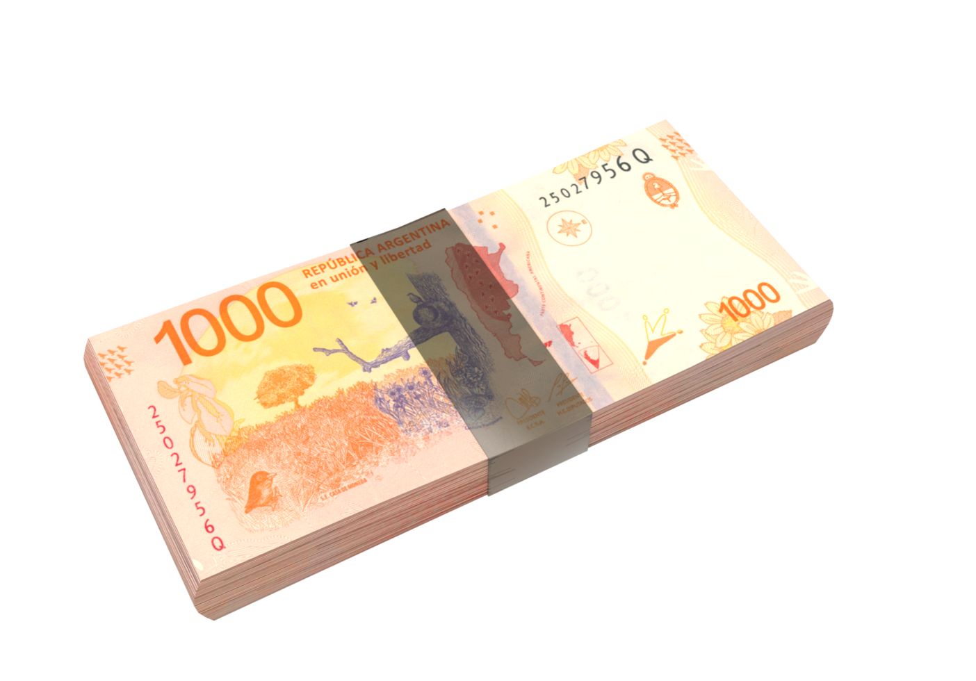 peso argentina moneta png