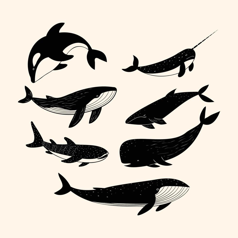 Minimalist Hand Drawn Whales vector