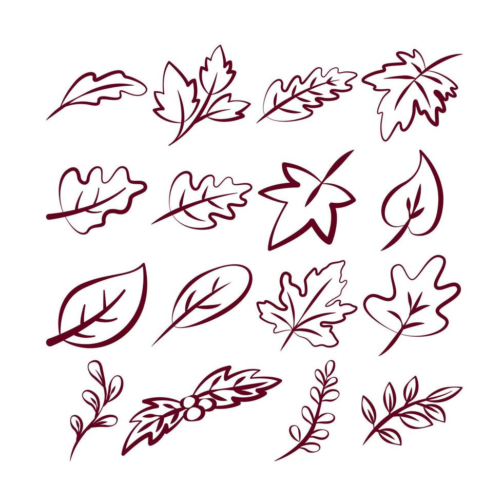 Lineart of various branch and leaves set. Isolated on white background. Elements for autumn needs vector