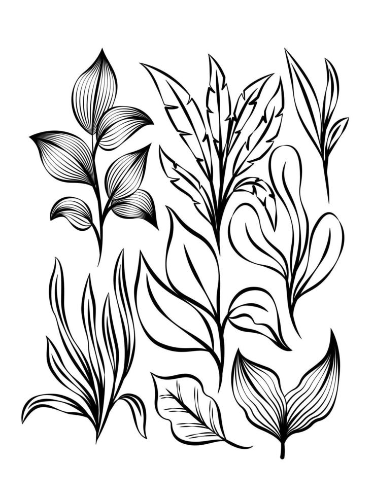 colección de hojas tropicales exóticas. conjunto de hojas tropicales. plantas exóticas. hojas y flores tropicales. hoja de palma, árboles de la selva. hoja exótica de la selva. ilustración botánica, floral. vector aislado.