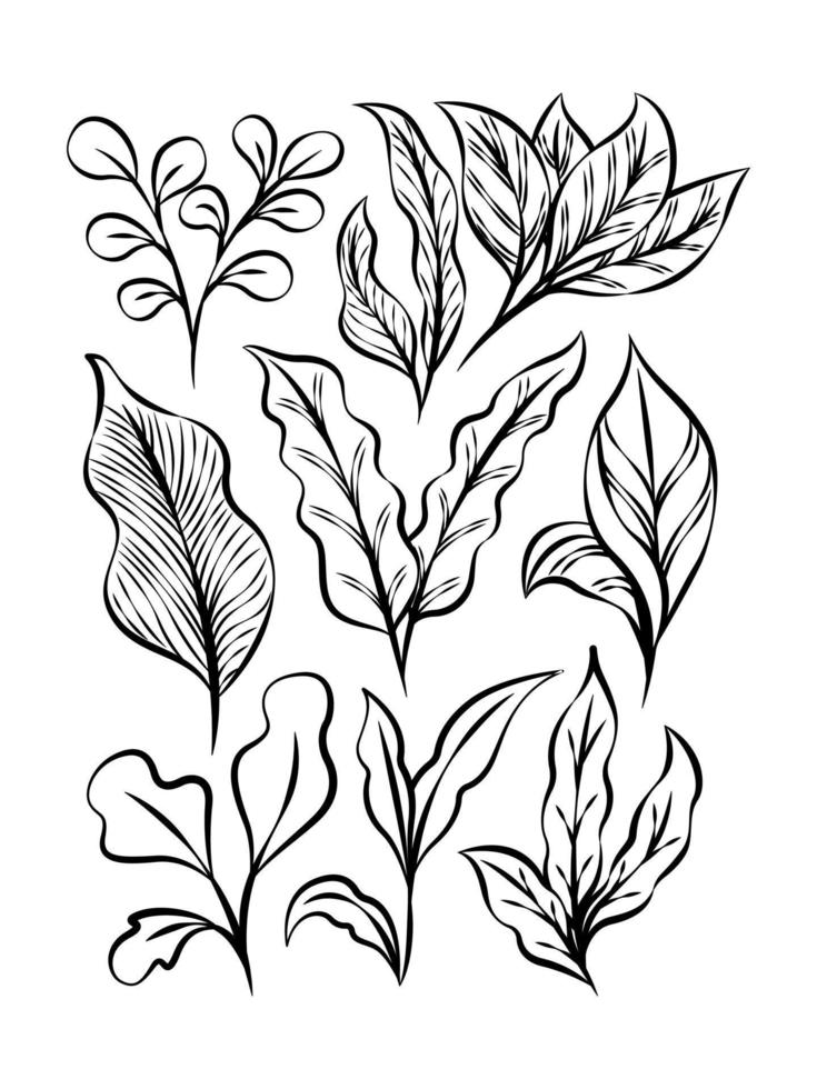 colección de hojas tropicales exóticas. conjunto de hojas tropicales. plantas exóticas. hojas y flores tropicales. hoja de palma, árboles de la selva. hoja exótica de la selva. ilustración botánica, floral. vector aislado.