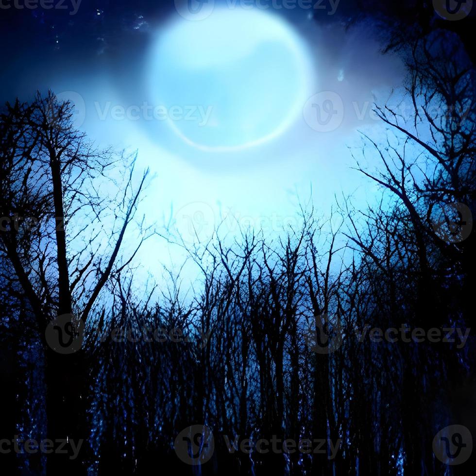 Fantasy and magical enchanted fairy tale landscape with forest, fabulous fairytale mysterious background, glowing moon ray in dark night photo