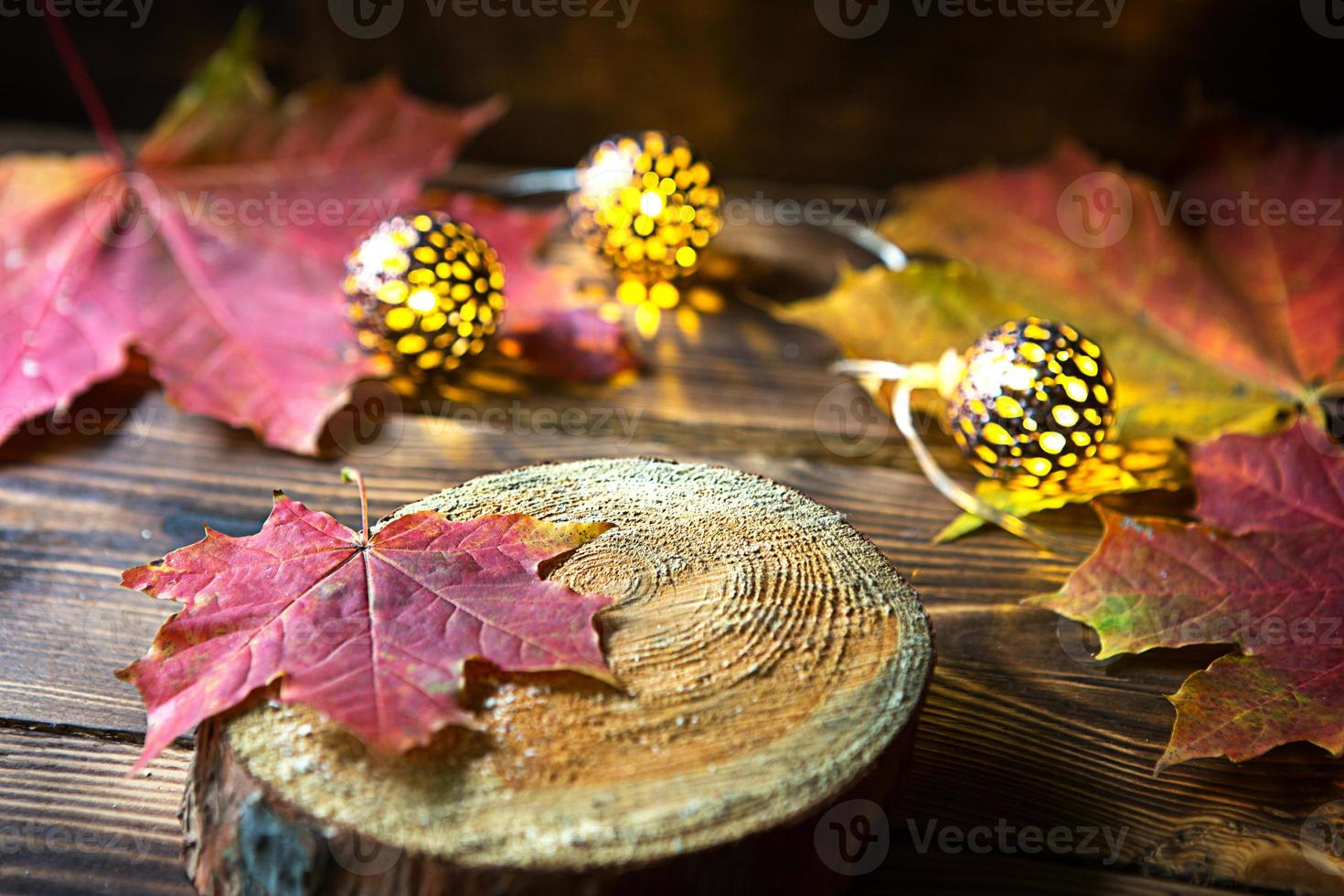 Autumn still life of fallen maple red and yellow leaves and warm lights garlands on a wooden background. Focus on a leaf on a section of a tree. The atmosphere of the holiday, Halloween, thanksgiving. photo