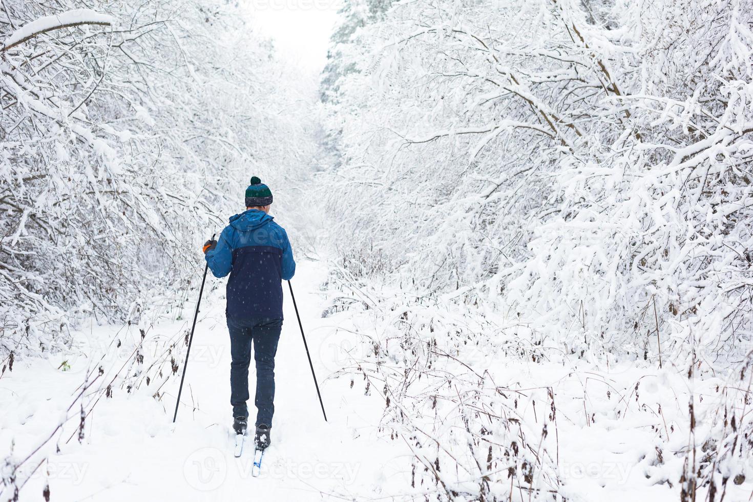 Skier in windbreaker and hat with pompom with ski poles in his hands with his back against the background of a snowy forest. Cross-country skiing in winter forest, outdoor sports, healthy lifestyle. photo