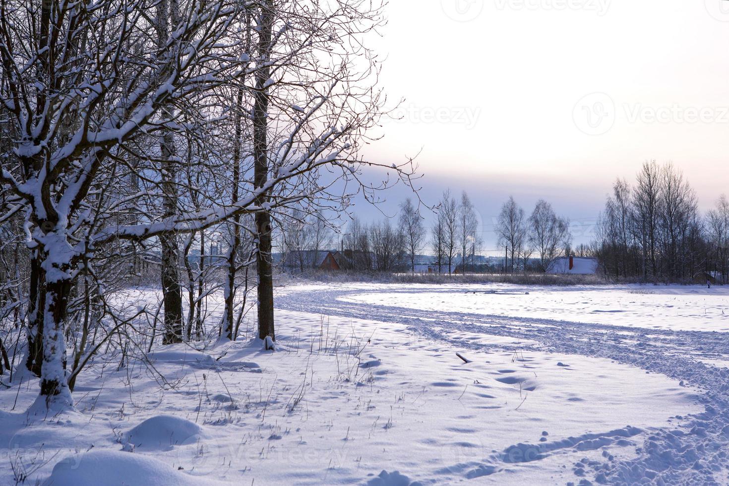 paisaje invernal - nieve blanca con rastros de zapatos y esquís en el campo. la pista de esquí y la carretera que bordean el bosque con árboles desnudos, suave luz del sol. foto