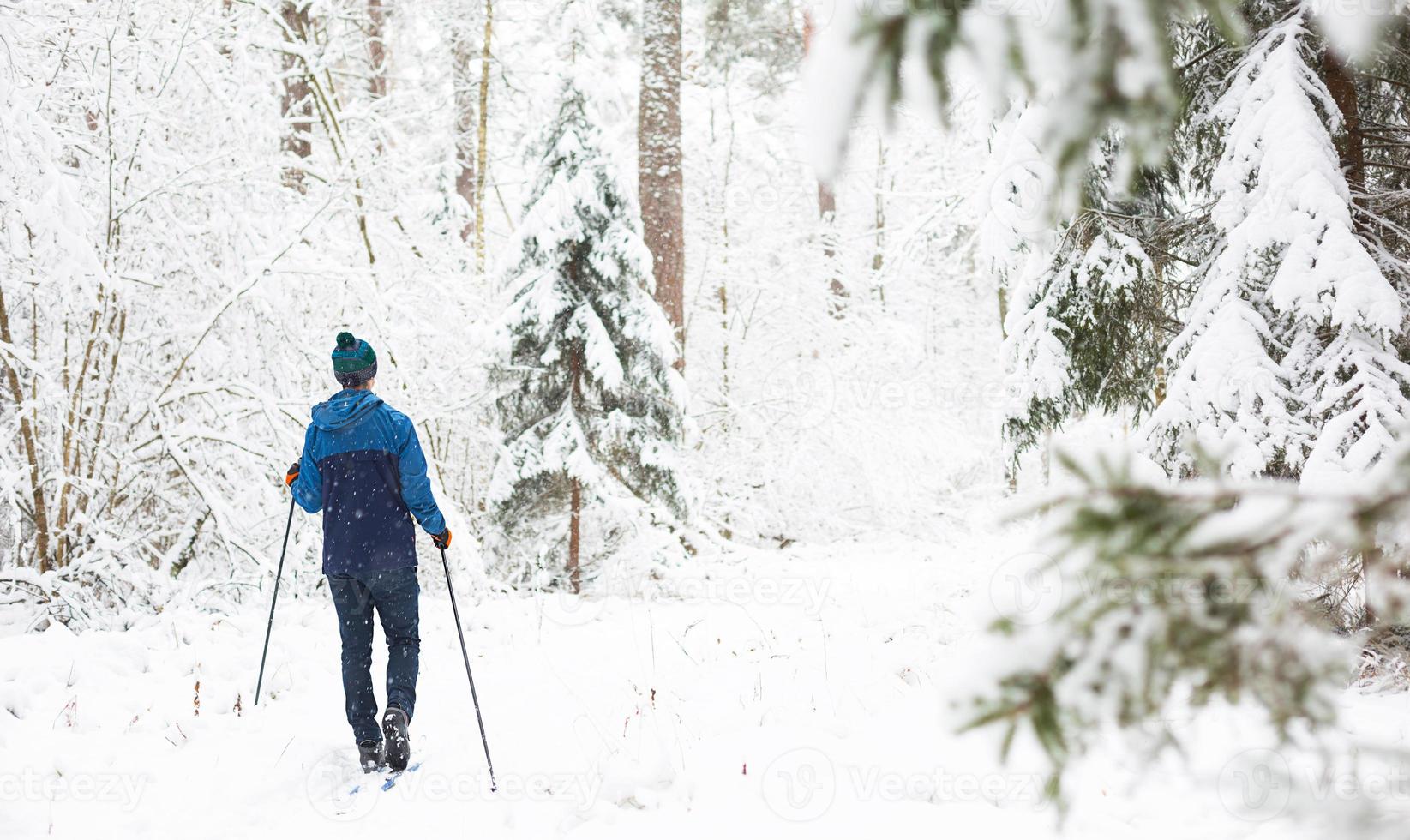 Skier in windbreaker and hat with pompom with ski poles in his hands with his back against the background of a snowy forest. Cross-country skiing in winter forest, outdoor sports, healthy lifestyle. photo