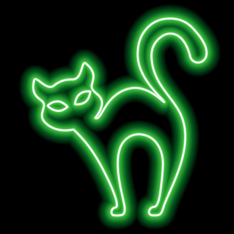 Neon green outline of a cat on a black background. Witch cat, halloween vector