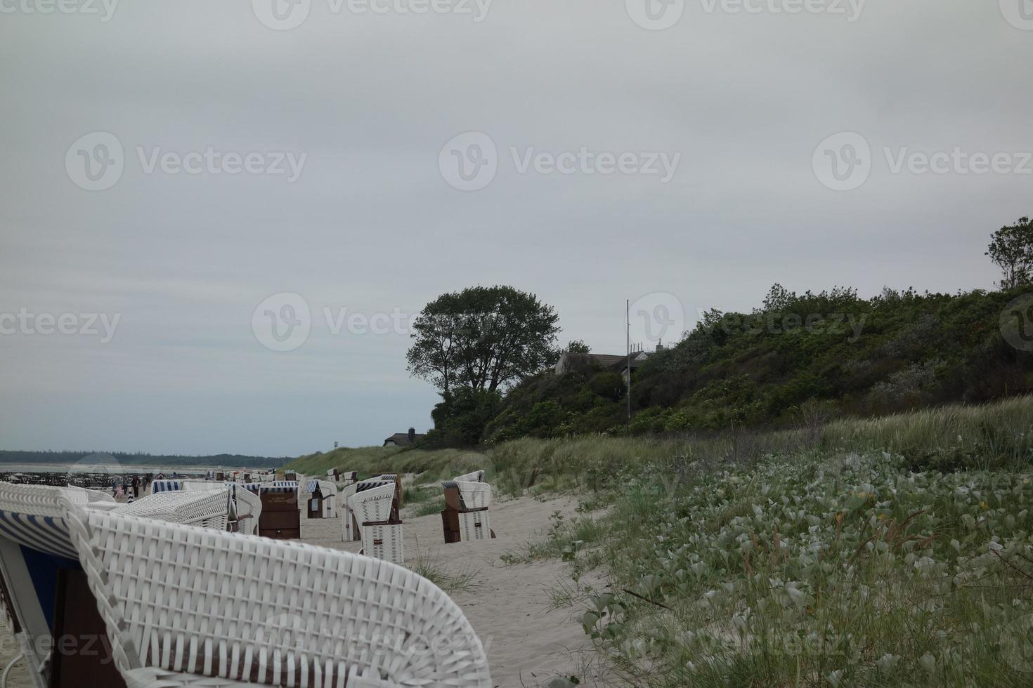 the island of zingst at the baltic sea photo